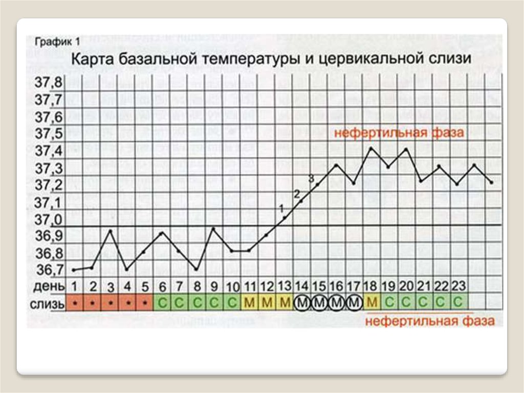 Забеременела на 7 день цикла. График базальной температуры. Карта базальной температуры. График измерения базальной температуры. Базальная ректальная температура.