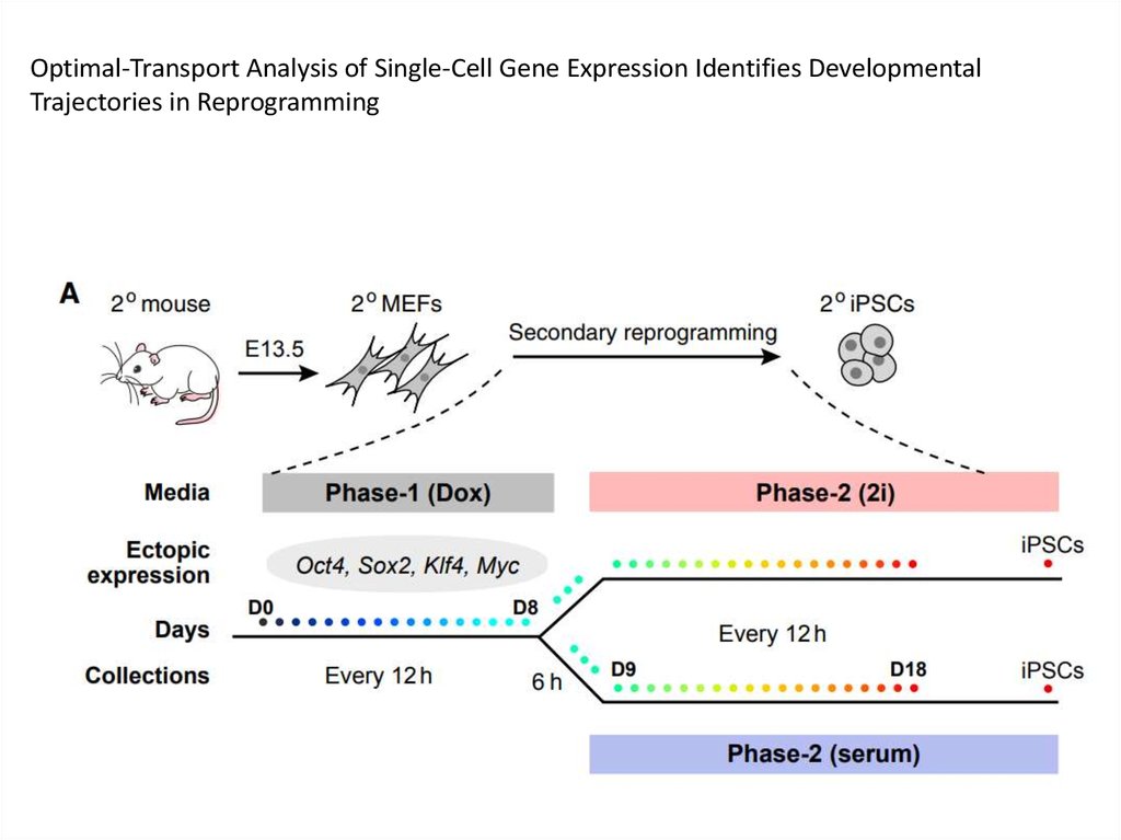 Transportation analysis. Neural OPTIMAL transport gan difference.