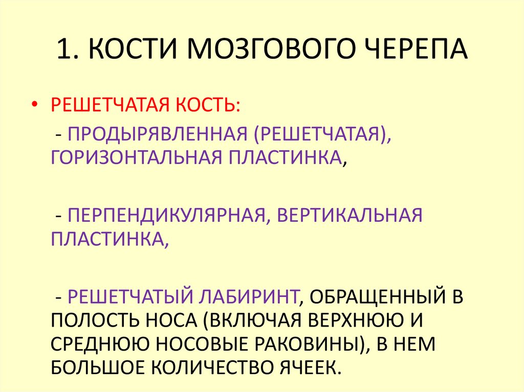 Костя мозговой. Основные принципы эволюционных преобразований мозгового черепа. Мозговая косточка рассказ.