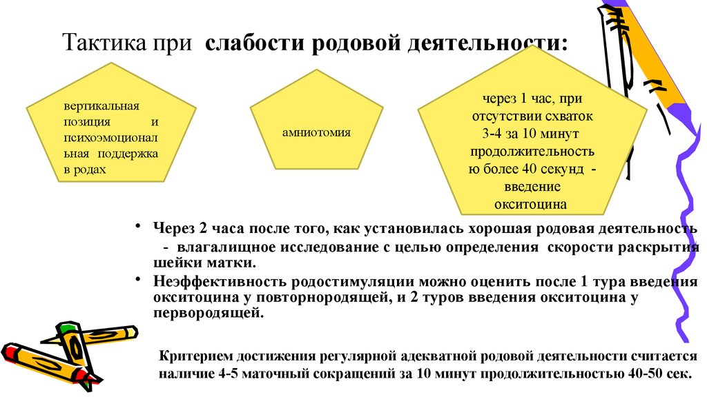 Укажите род деятельности