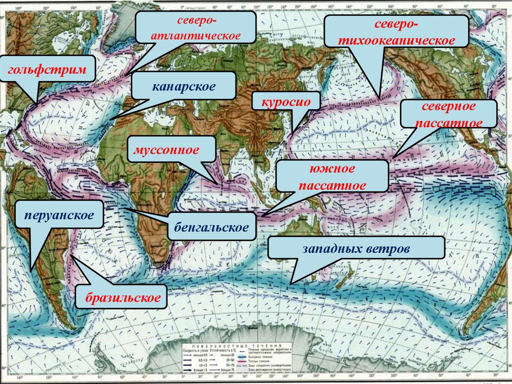 Течение западных ветров температура. Гольфстрим и Северо-атлантическое течение. Гольфстрим и Северо атлантическое течение на карте. Гольфстрим ветров течение. Гольфстрим на карте Атлантического океана.