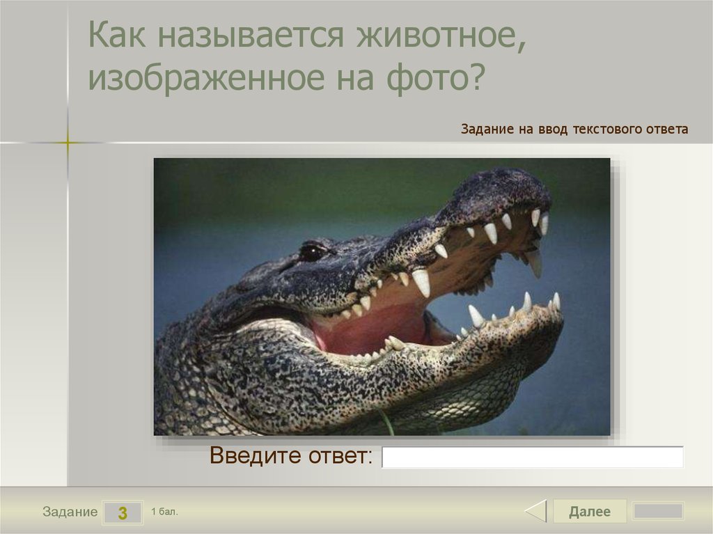 Как называется этот зверь. Люди звери как называются. Как называется когда животных изображают как людей. Как называются люди которые изображают животных.