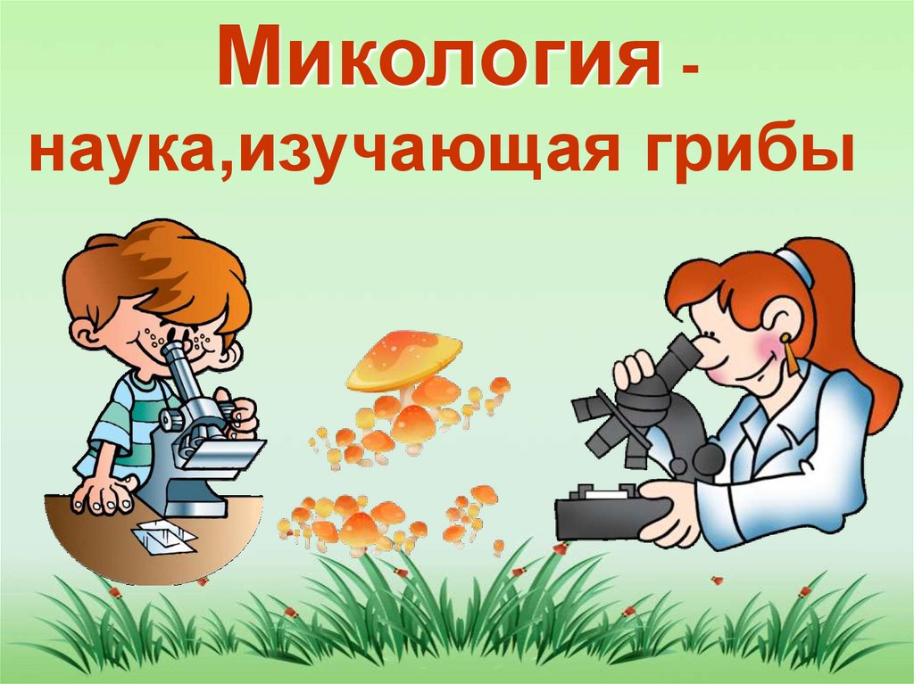 Наука которая изучает грибы. Микология. Микология это наука изучающая. Наука изучающая грибы. Что изучает микология.