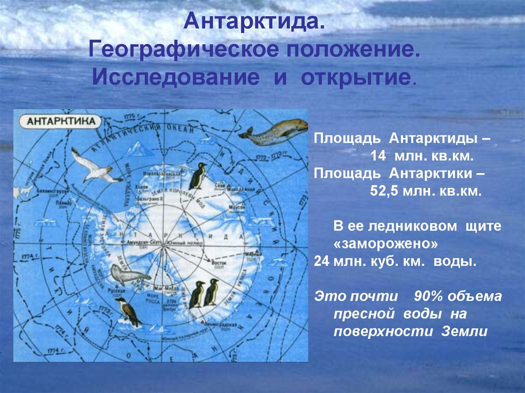 Тихий океан полярные круги. Географическое положение Антарктиды. Положение Антарктиды. Географические данные Антарктиды. Географические характеристики Антарктиды.
