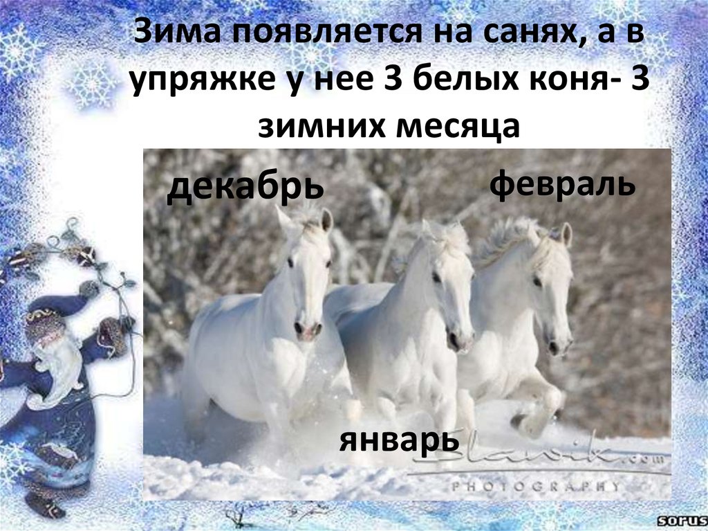 Лошадь 3 месяца. Три белых коня декабрь январь и февраль. Тройка лошадей декабрь январь и февраль. Три белых коня декабрь. Три белых коня зима.