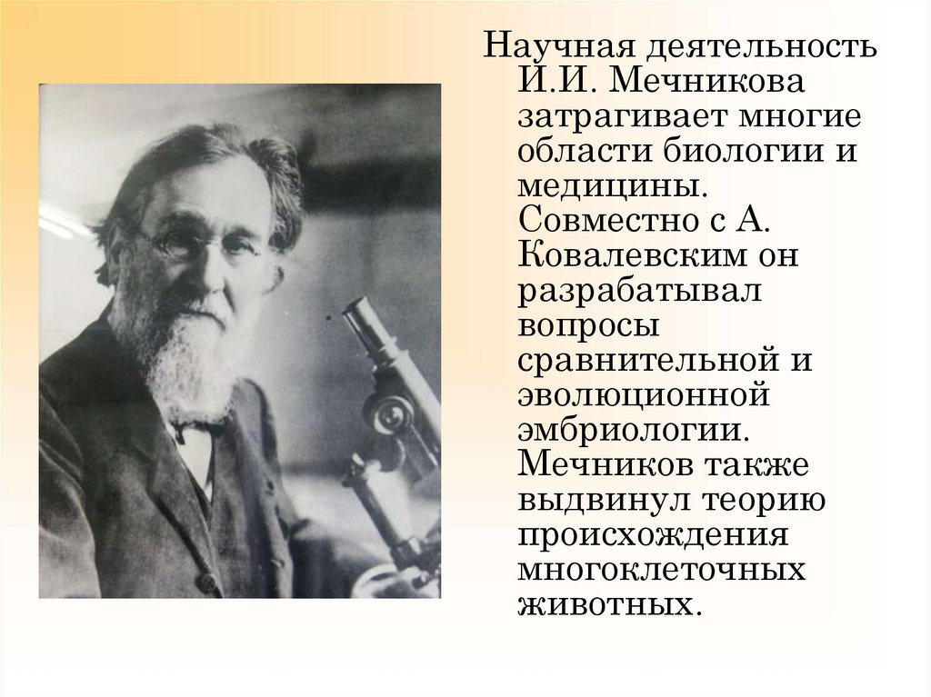 Мечников владивосток. Научная деятельность Мечникова. Мечников Илья Ильич и Ковалевский. Мечников эмбриология. Эволюционная эмбриология Мечников.