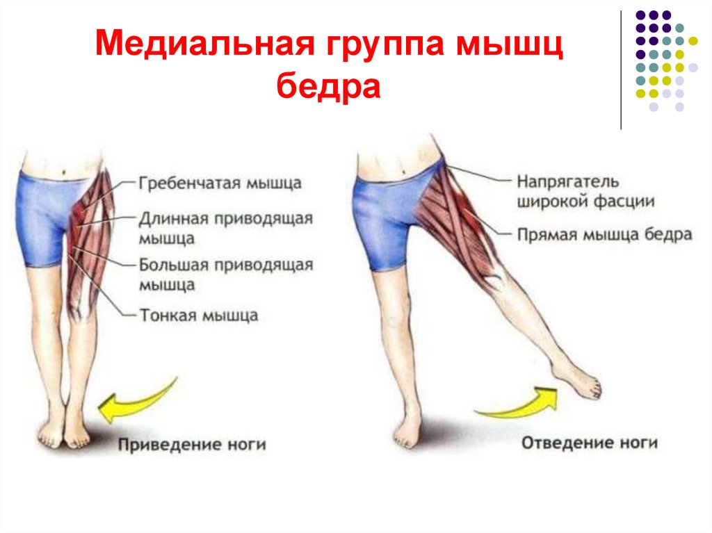 Сводит ляшку ноги. Растяжение мышцы бедра спереди. Отводящие мышцы бедра. Приводящие и отводящие мышцы ног.