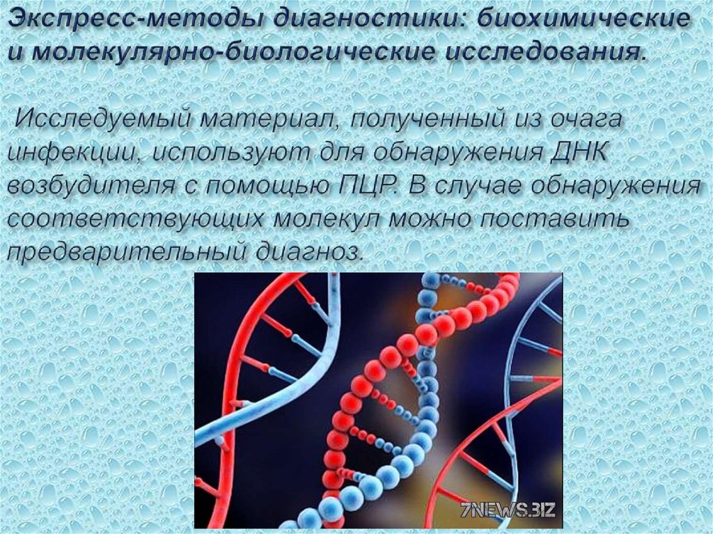 Достижения молекулярной биологии