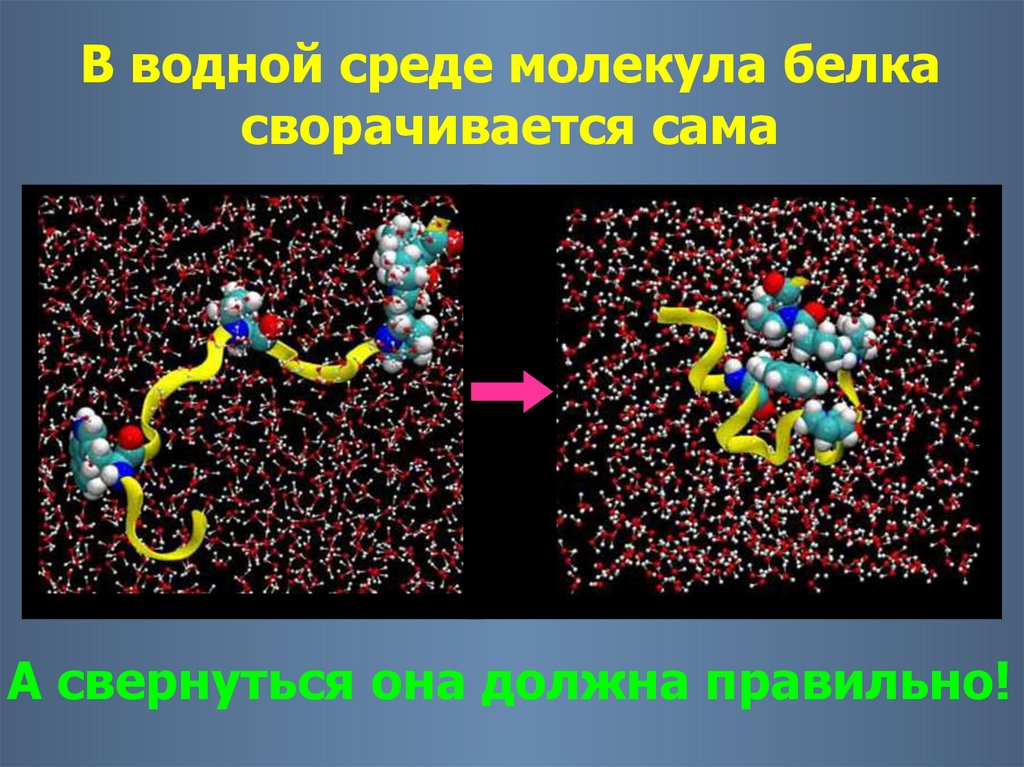 Признаки молекул белка. Четвертичная структура белка химия 10 класс. Четвертичная структура молекулы белка. Четвертичная структура молекулы. Четвертичная структура гемоглобина.