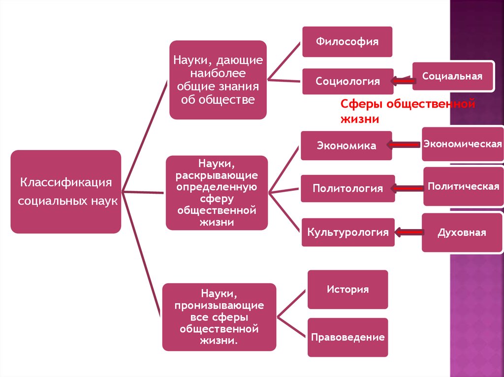 Социальные науки автор