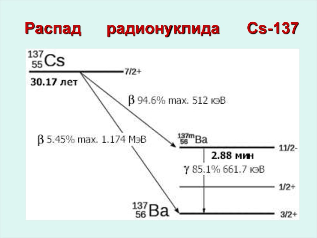 Распад радионуклида Cs-137