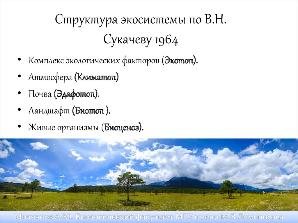 Структура экосистемы по В.Н. Сукачеву 1964