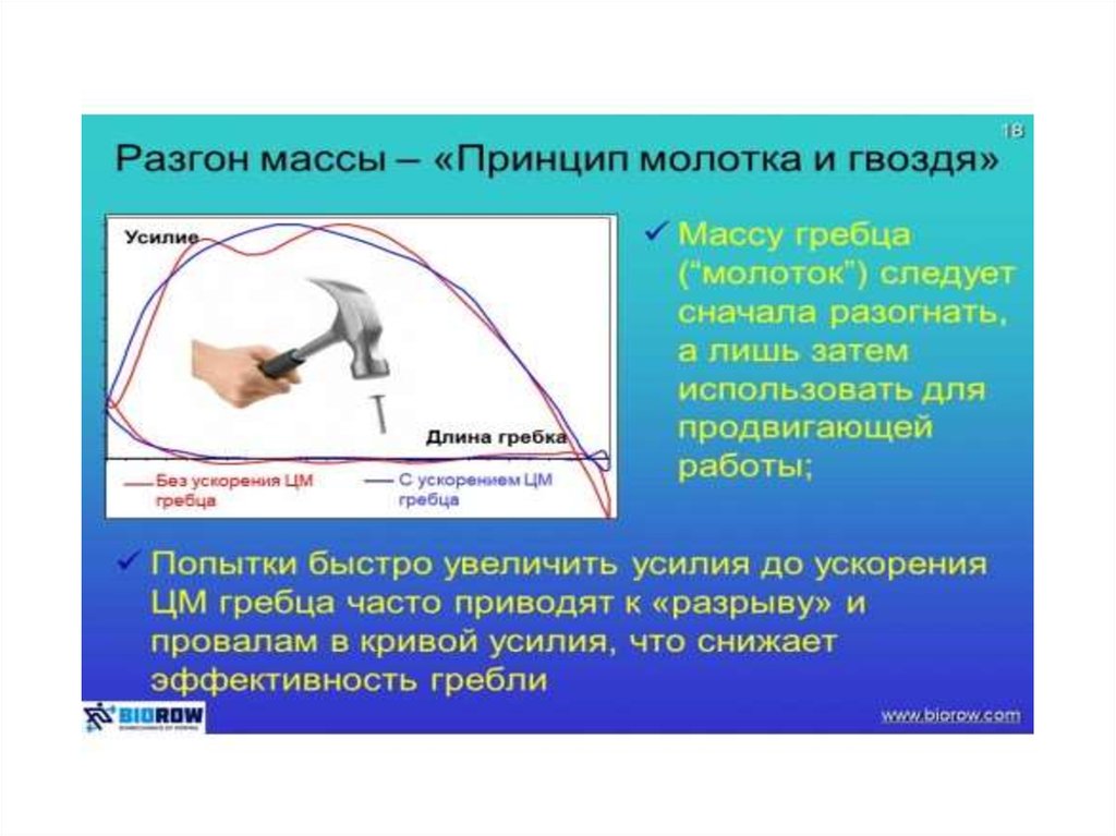 Принцип массе. Биомеханика в гребле. Основы биомеханики Академическая гребля. Основы биомеханики, физиологии и техники гребли.