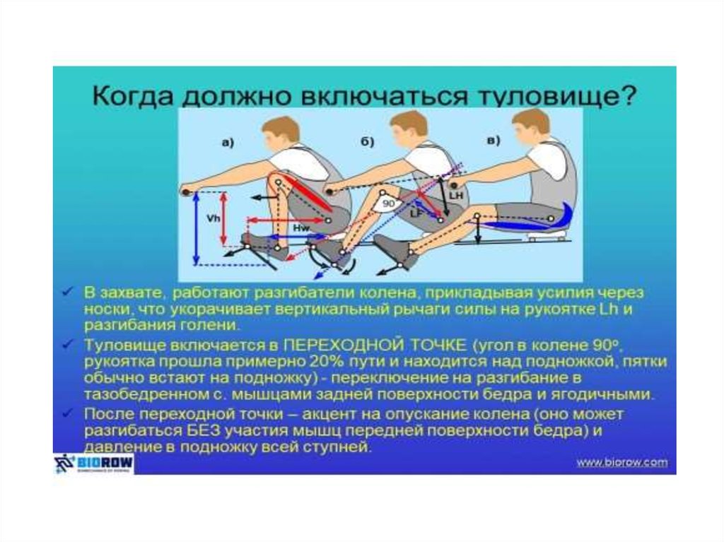 Используя рисунок 174 объясните как при гребле используется рычаг и для чего это нужно