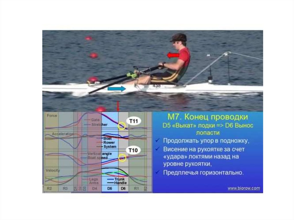 Гребля академическая презентация