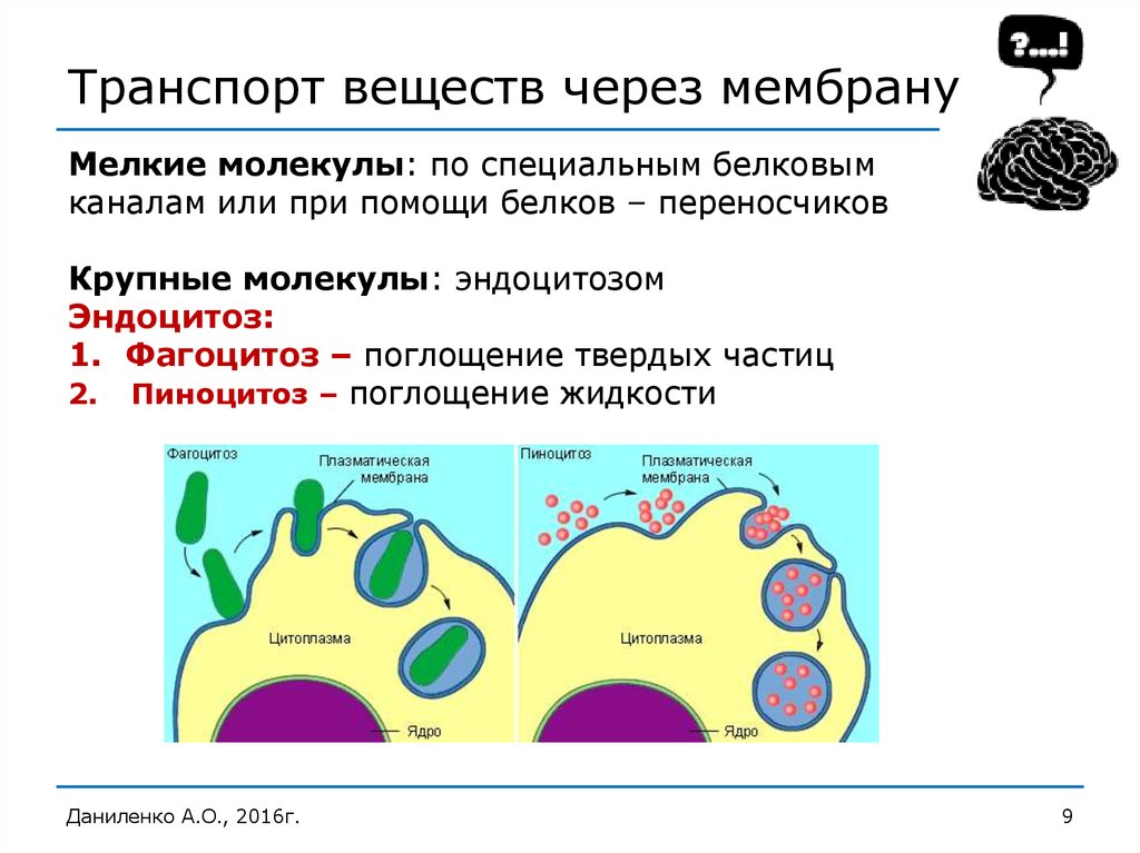 Мембрана клетки транспорт веществ. Транспорт веществ через клеточную мембрану. Схема транспорта веществ через полупроницаемую мембрану. Транспорт веществ через клеточную мембрану таблица. Типы транспорта веществ через клеточную мембрану.