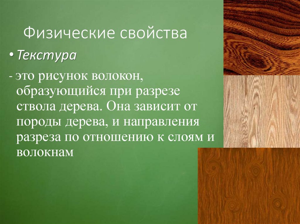 Виды и свойства древесины. Свойства древесины. Древесина презентация. Древесина слайд. Презентация на тему древесина.