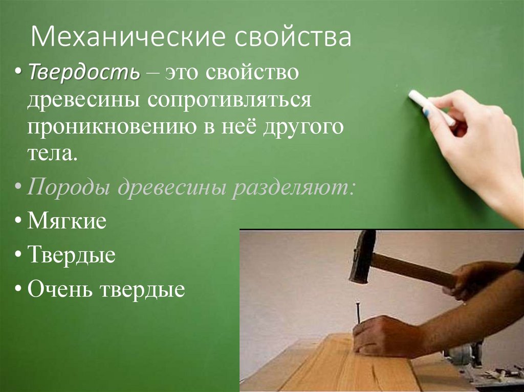 Свойство технологии. Механические свойства древесины 6. Механические свойства дерева твердость. Свойства древесины (твердость, прочность).. Твёрдость древесины технология.