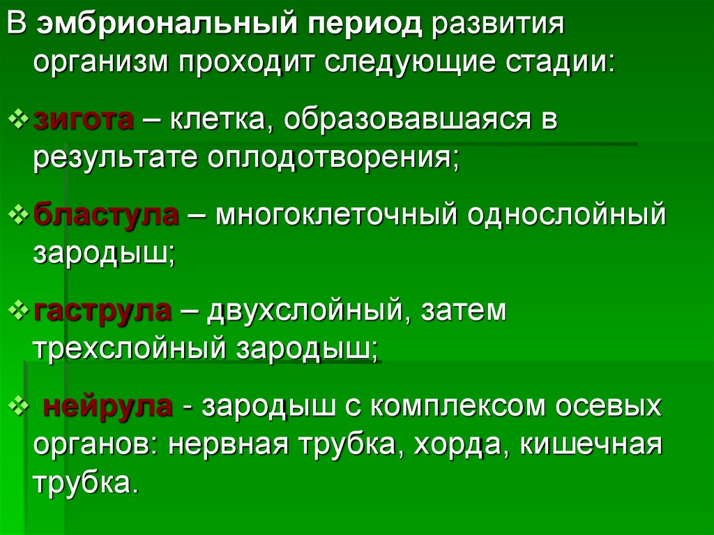 Зародышевое развитие организмов 10 класс презентация