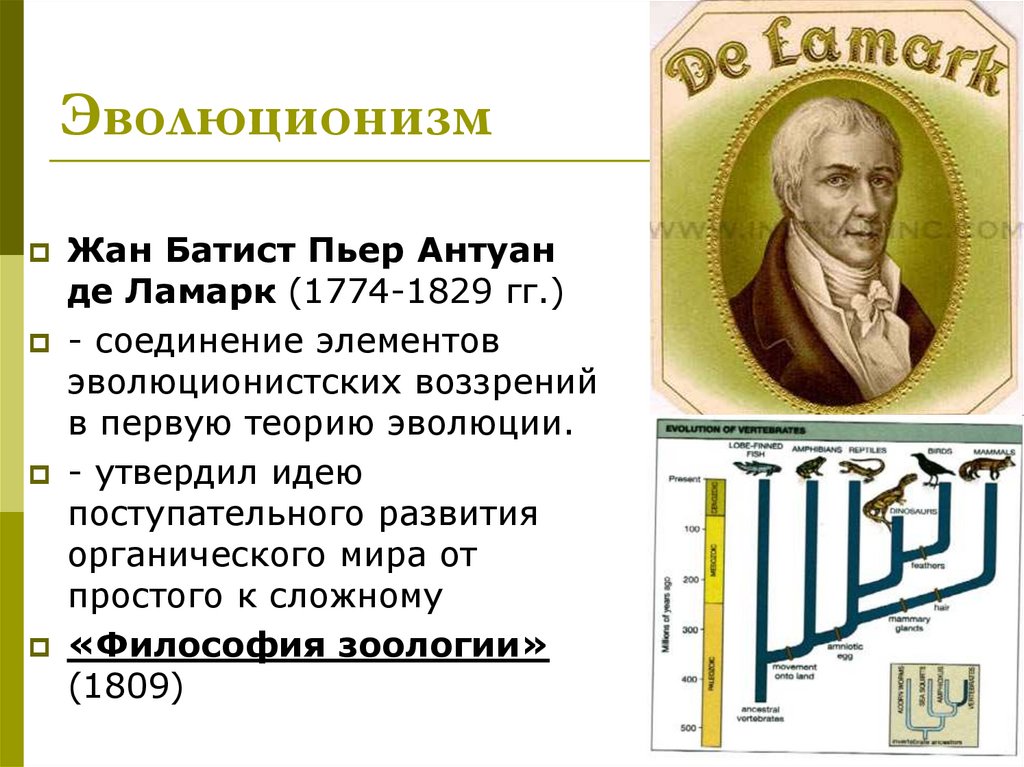 Эволюционизм спенсера презентация