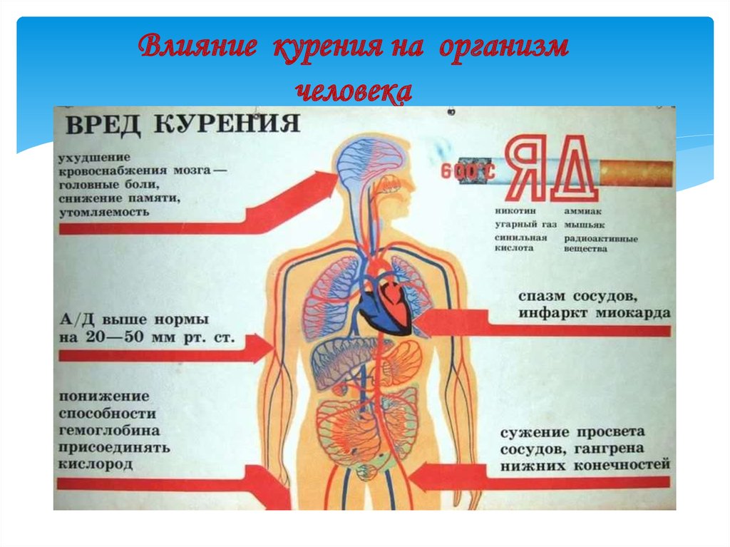 Какое воздействие на организм человека оказывают. Влияние курения на организм человека. Воздействие курения на организм человека. Влияние табакокурения на организм человека. Воздействие табака на организм.