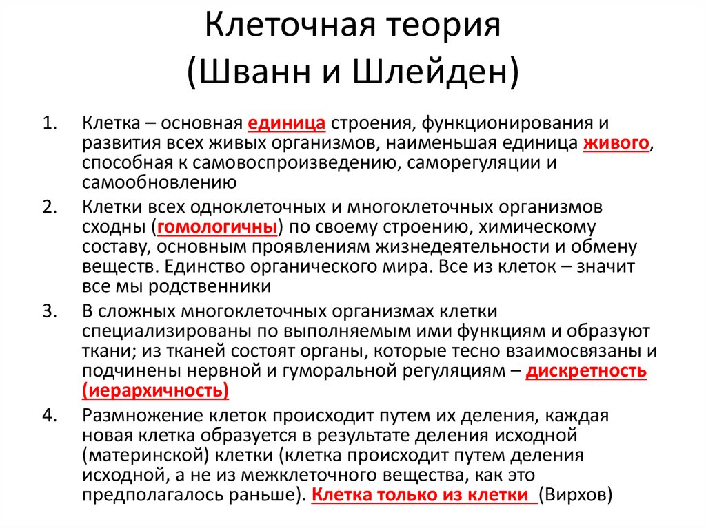 Клетка положения. Шлейден и Шванн теория. Теория Шванна и Шлейдена. Шлейден клеточная теория кратко. Гипотеза Шванна и Шлейдена.