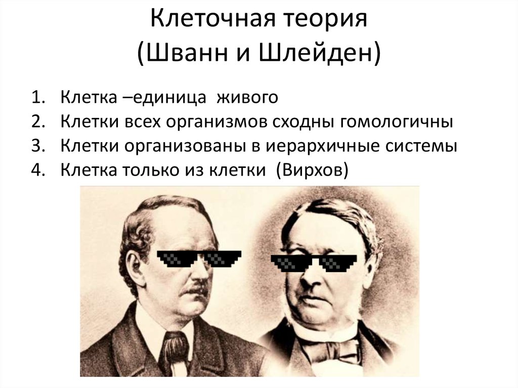 Теория шванна и шлейдена. Шлейден и Шванн клеточная теория. Клеточная теория шлэйден Шван. Шлейден и Шванн теория. Клеточная теория Шлейдена и Шивана.