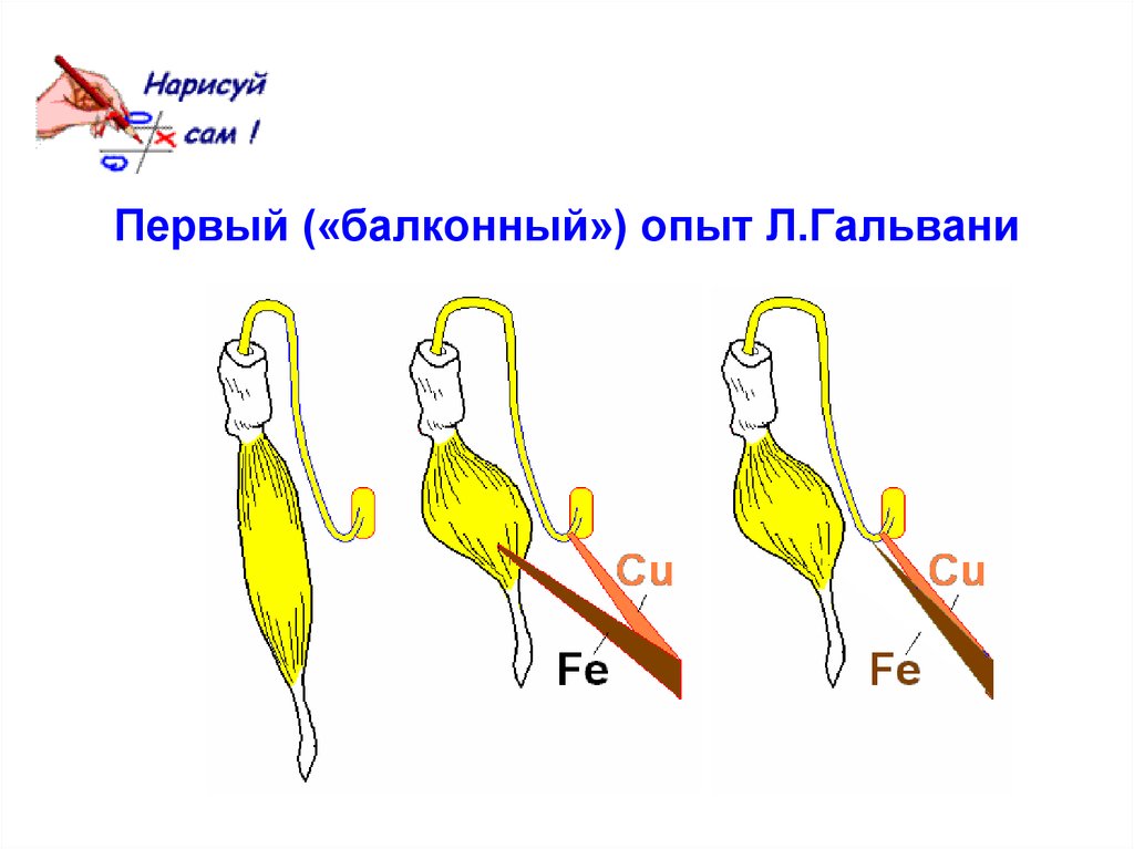 Схема первый опыт гальвани