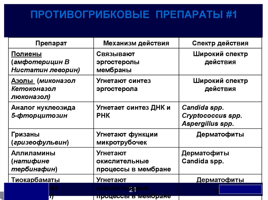 Механизм действия противогрибковых препаратов. Противогрибковые средства препараты. Противогрибковые препараты классификация. Противогрибковые лекарственные средства классификация. Противогрибковые препараты таблица.