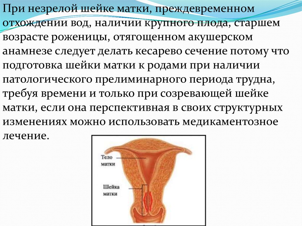 Наличие крупных. Незрелая шейка матки. Незрелая шейка матки признаки. Для незрелой шейки матки характерно.