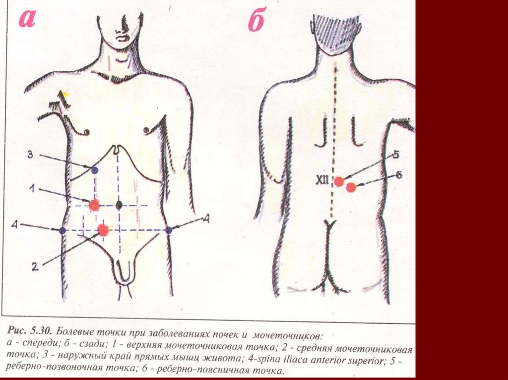 Точки балле. Болевые точки. Болевые точки при панкреатите. Болевые точки при заболеваниях желудка. Болевые точки при поражении ЖКТ.