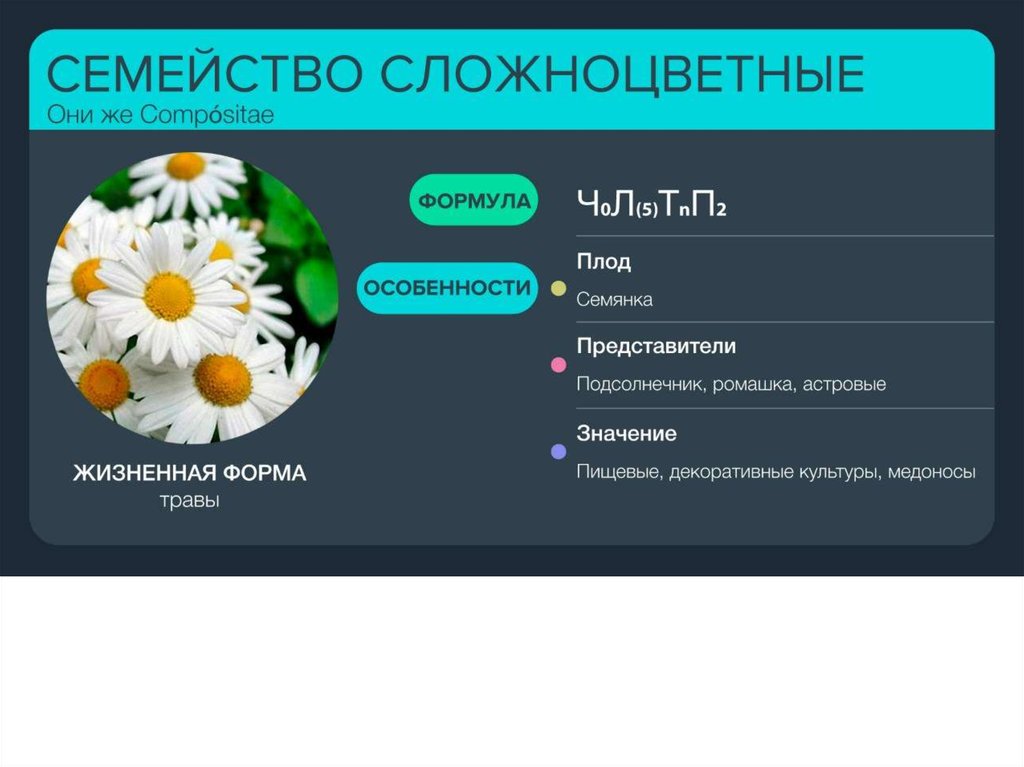 Ботаника егэ презентация