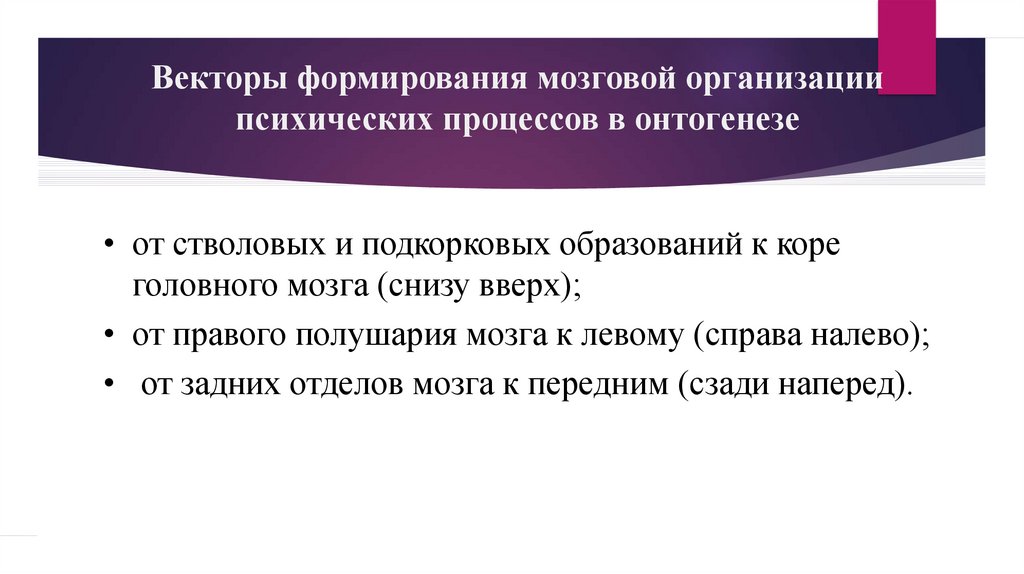 Почему зрение важнейшее условие формирования головного мозга