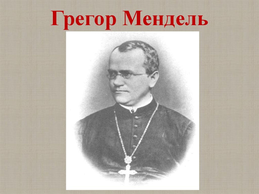 Фотогалерея генетиків - презентация онлайн