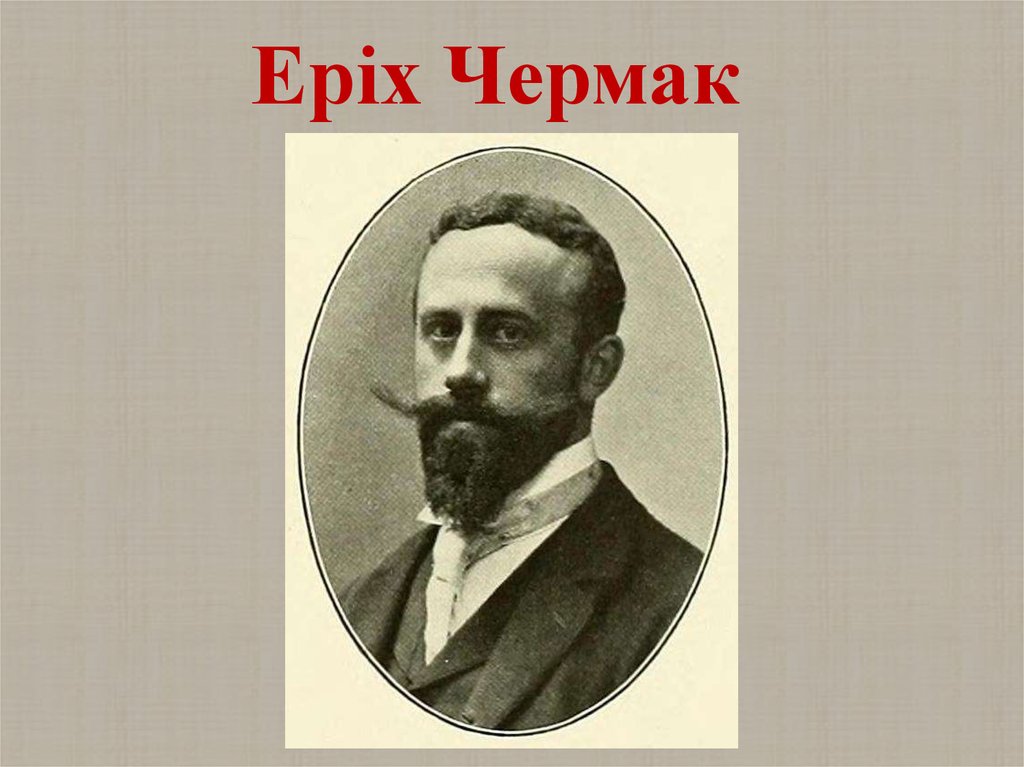 Еріх Чермак