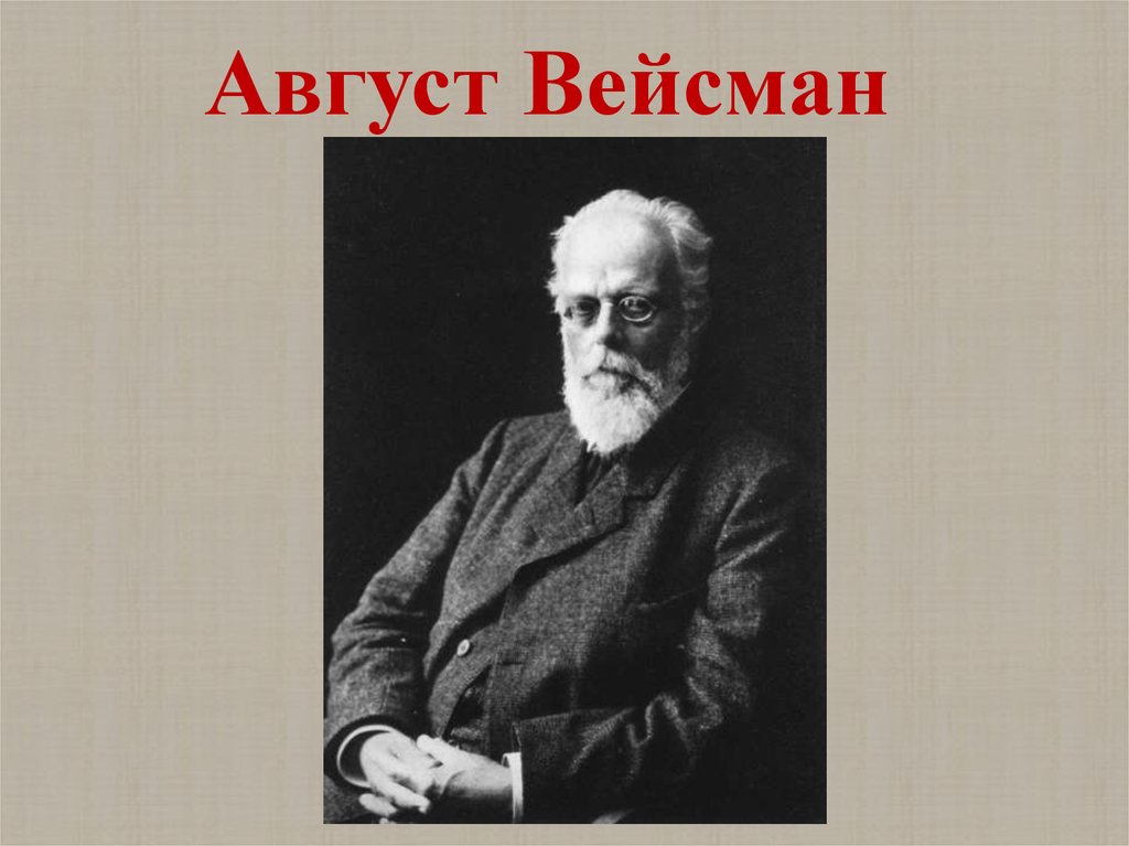 Август Вейсман