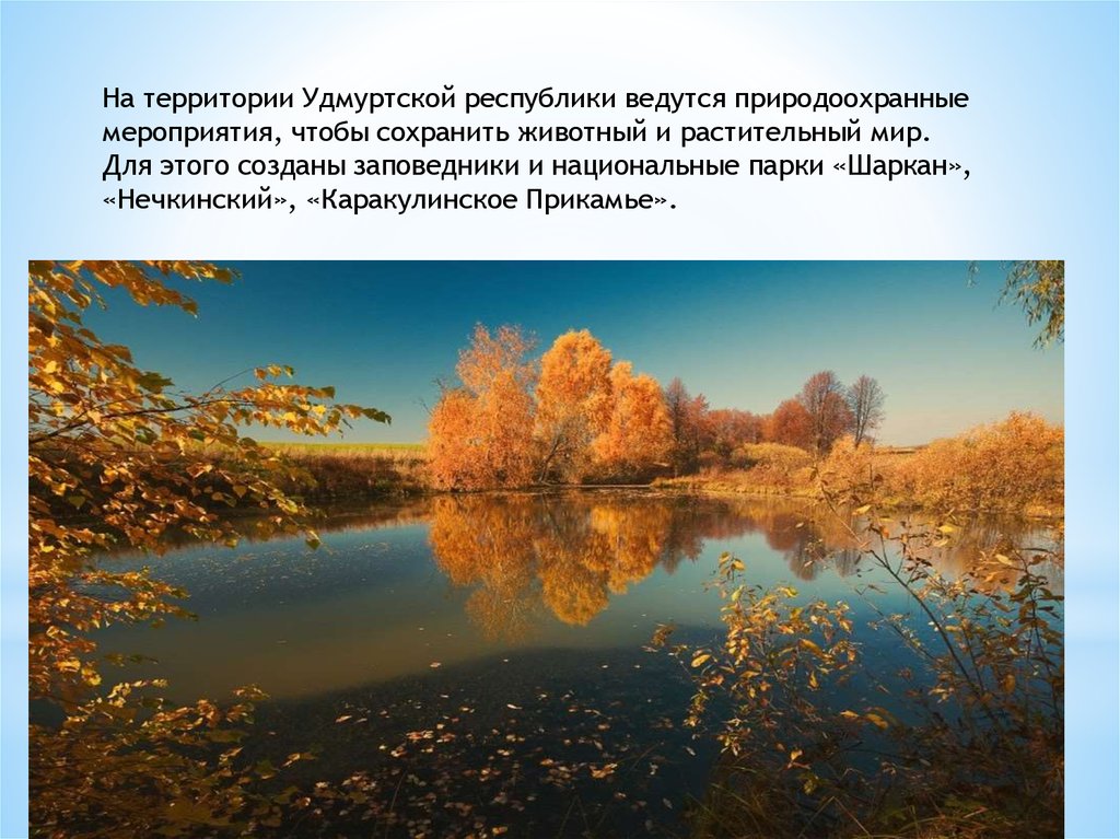 Природа родного края презентация