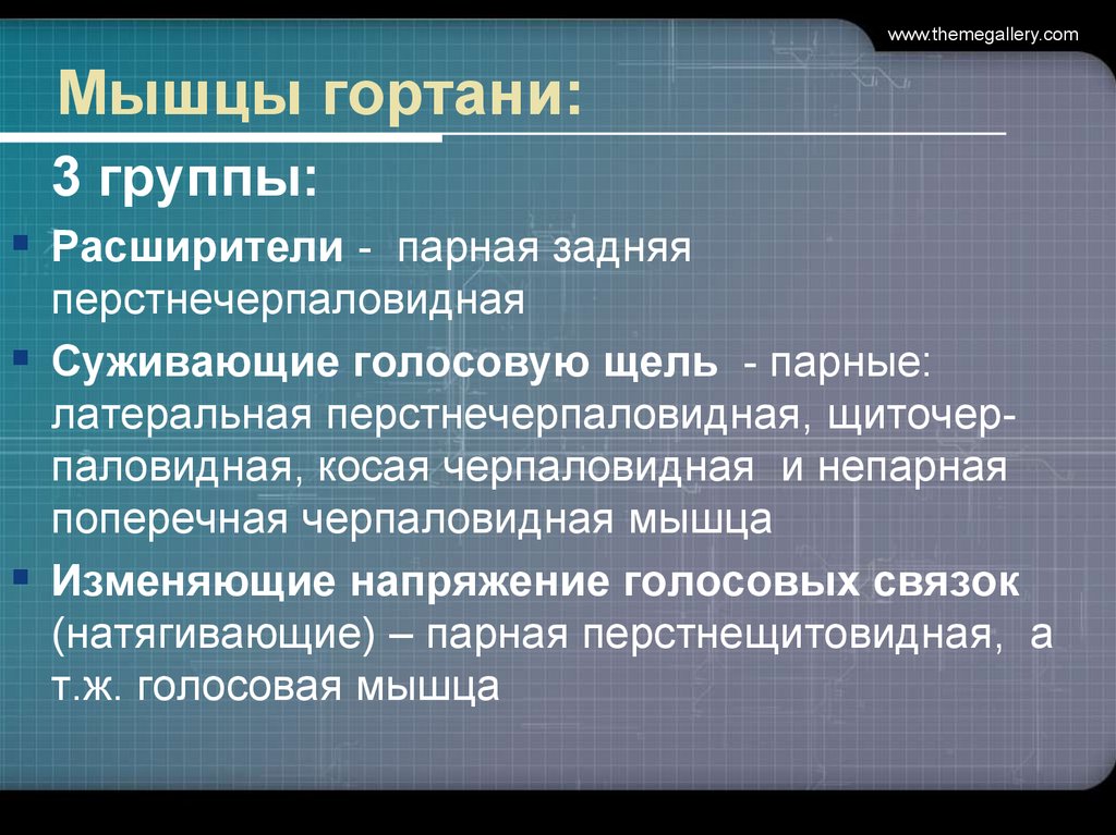 Голосовую щель суживают. Мышцы гортани расширители суживающие голосовую щель.