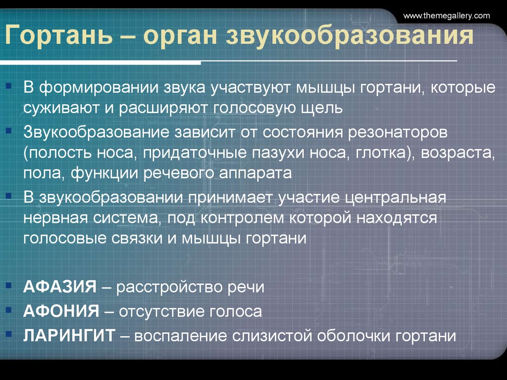 Формирование звука. Органы звукообразования. Звукообразование в пении. Звукообразование у человека. Органы которые участвуют в формировании звука.