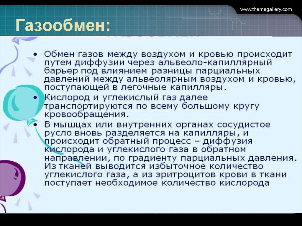 Газообмен между воздухом. Газообмен между воздухом и кровью. Газообмен между легочным воздухом и кровью происходит. Легкие обеспечивают газообмен между кровью и воздухом.