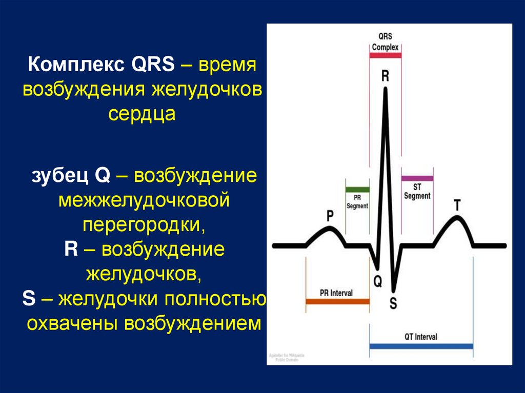 Qrs на экг что это