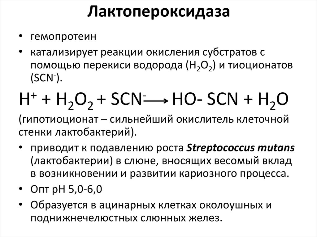 Какой биологический смысл в реакции переактивации ответ. Лактопероксидаза реакция. Пероксидаза слюны реакция. Строение пероксидазы. Лактопероксидаза биохимия.