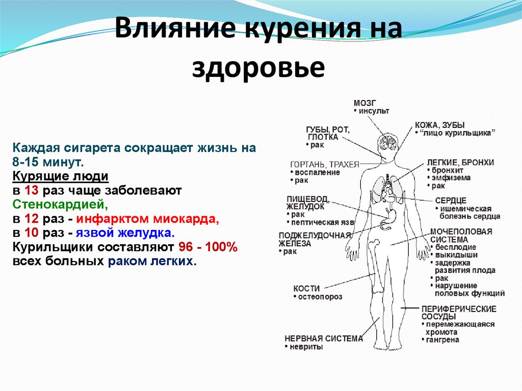 Влияние табакокурения на организм человека презентация