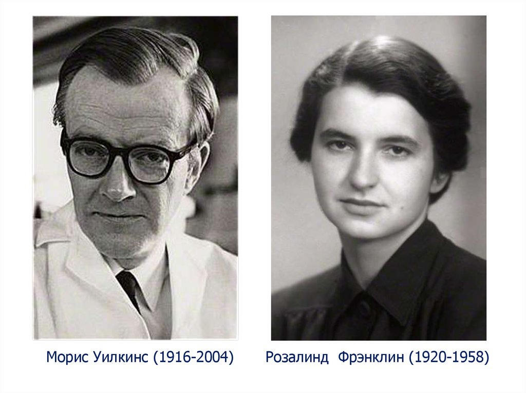 Морис уилкинс. Морис Хью Уилкинс. Фредерик Уилкинс. Морис Уилкинс 1916 - 2004. Морис Уилкинс вклад.