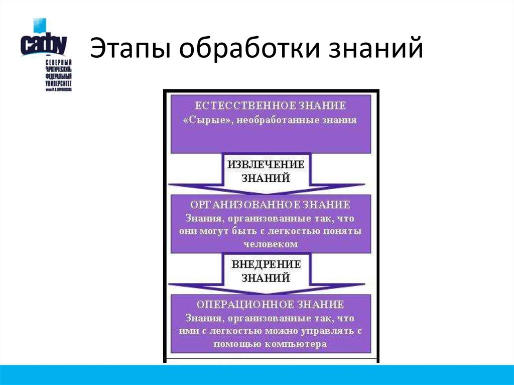 Основные стадии обработки информации презентация