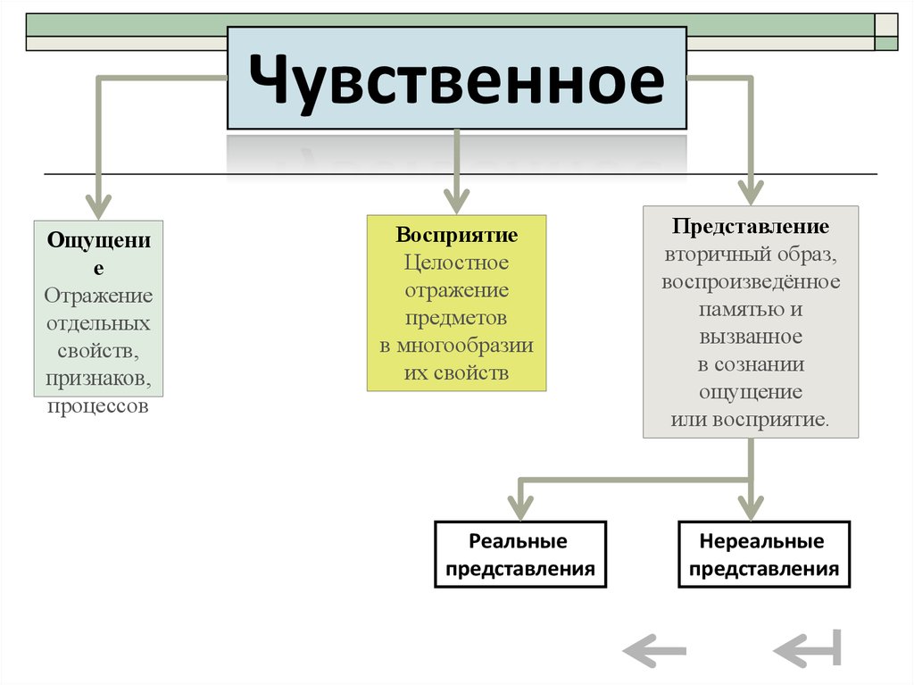 Характеристика чувственного познания отображение целостного образа