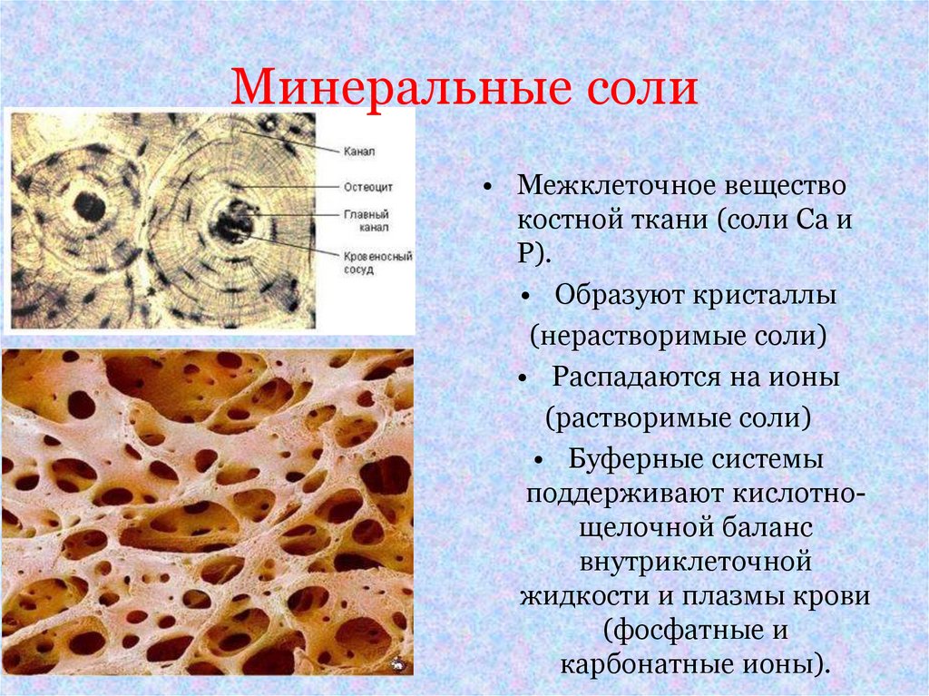 Предупреждение заболевания почек питьевой режим презентация. Предупреждение заболеваний почек питьевой режим 8 класс.