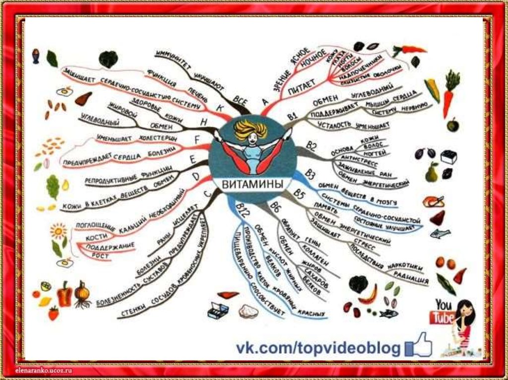 Интеллектуальная карта по биологии