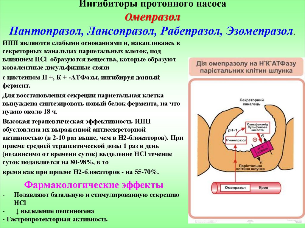 Ингибиторы протонной помпы презентация