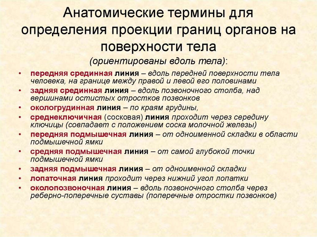 Анатомическая терминология